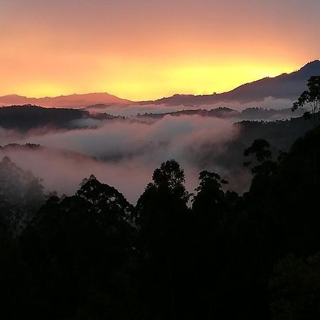 BoralandaOhiya Mount Plaza公寓 外观 照片