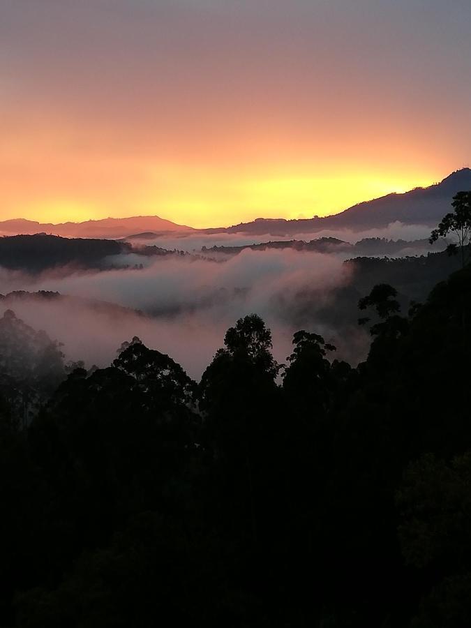 BoralandaOhiya Mount Plaza公寓 外观 照片